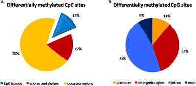 Changes in DNA methylation associated with a specific mode of delivery: a pilot study